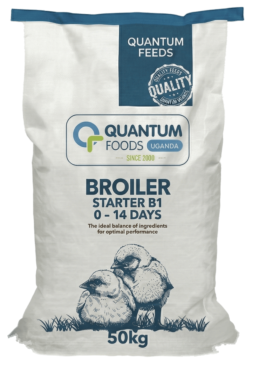 Broiler Starter B1 - 50Kg